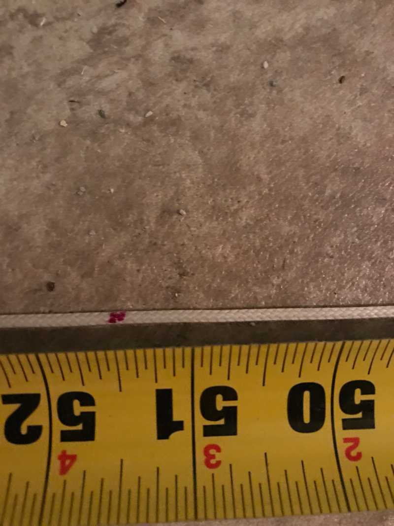 belt path length